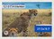 ArtToFrames 27.5x19.7 INCH / 70x50 CM Puzzle Frame for 1000 piece Puzzles.This 1.25 Inch Custom MDF Frame for Puzzles Comes with Economy Acrylic, Available in Multiple Colors